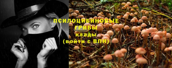 метадон Зеленодольск