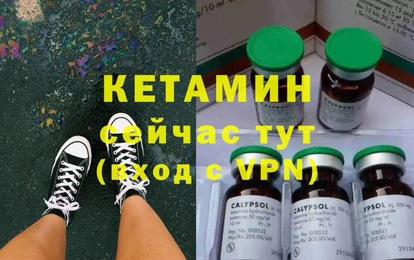 сатива Заволжск
